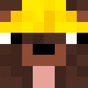Minecraft-Avatar von RichtigeRichtung